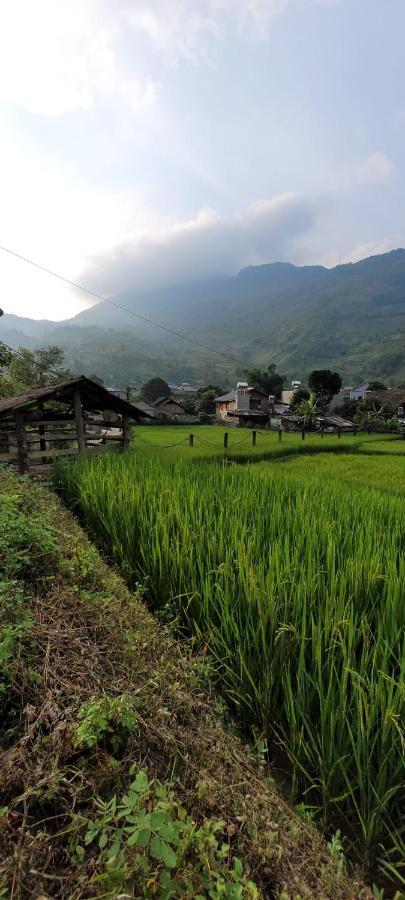 Organic Farm Homestay Sapa Dış mekan fotoğraf