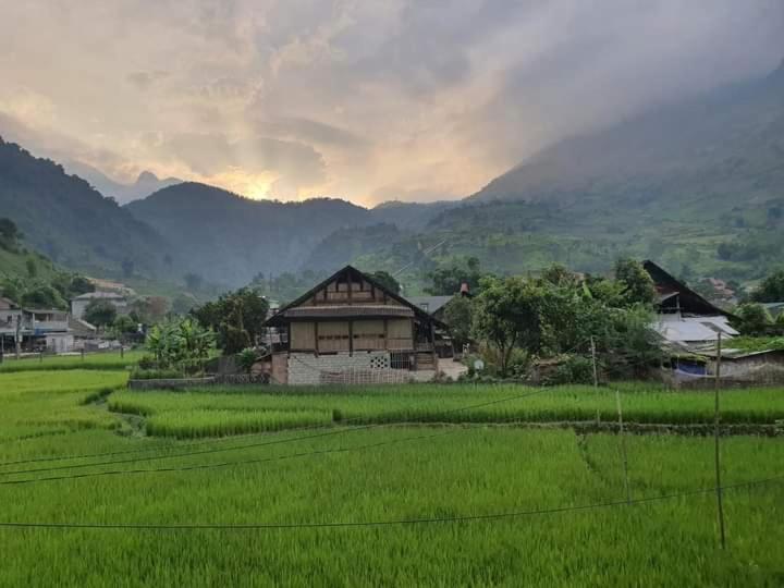 Organic Farm Homestay Sapa Dış mekan fotoğraf