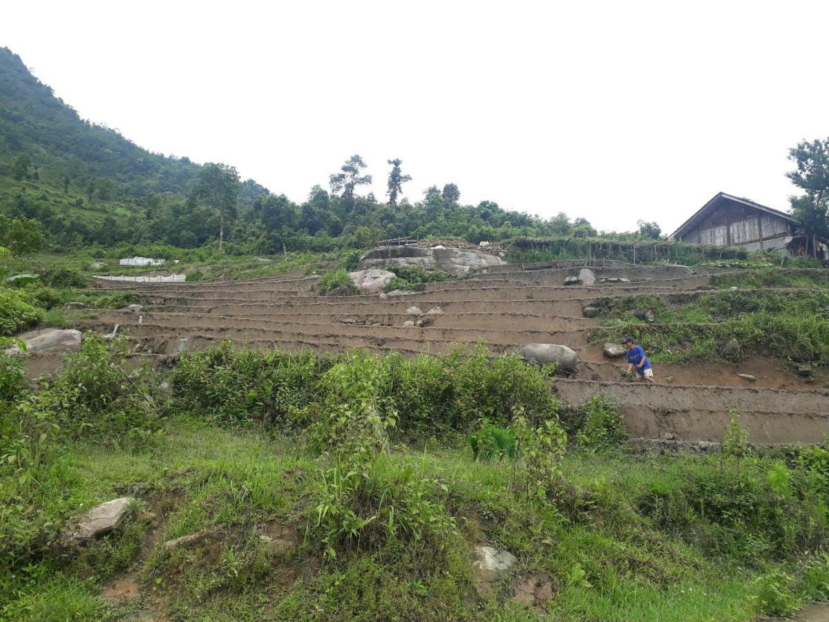 Organic Farm Homestay Sapa Dış mekan fotoğraf